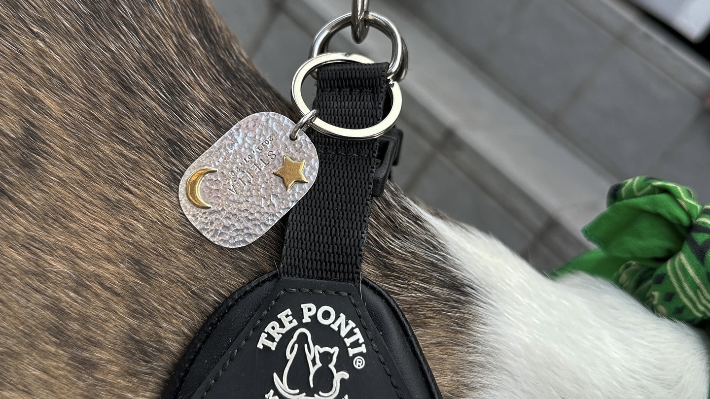 カスタムオーダードッグタグのご紹介